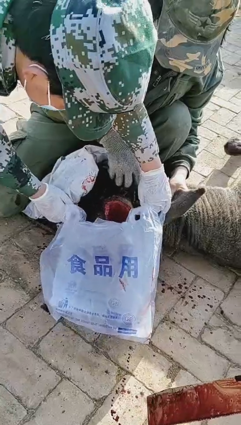圖5-3